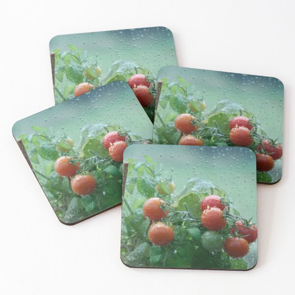 Item preview, Tomatoes and Raindrops designed and sold by Calidris Fotografie Steffi & Ben Köppler.
