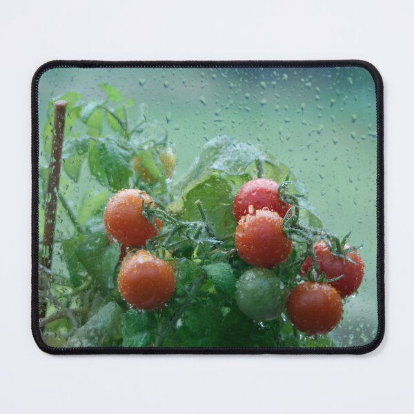 Item preview, Tomatoes and Raindrops designed and sold by Calidris Fotografie Steffi & Ben Köppler.