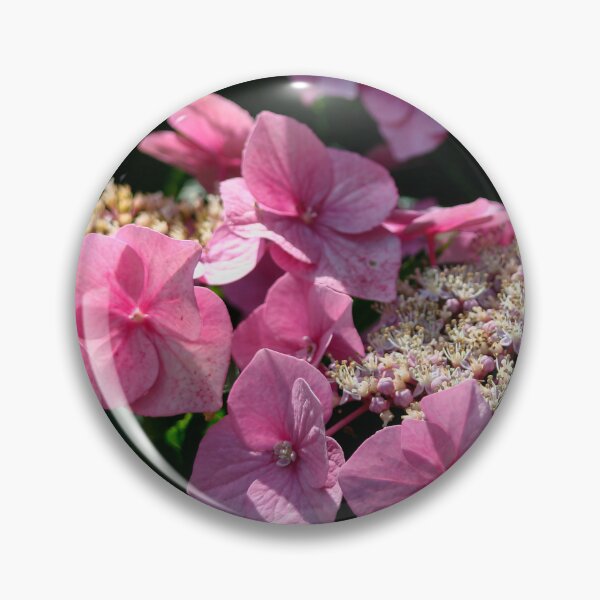 Item preview, Lacecap Hydrangea designed and sold by Calidris Fotografie Steffi & Ben Köppler.