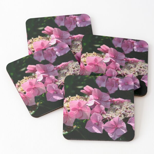 Item preview, Lacecap Hydrangea designed and sold by Calidris Fotografie Steffi & Ben Köppler.