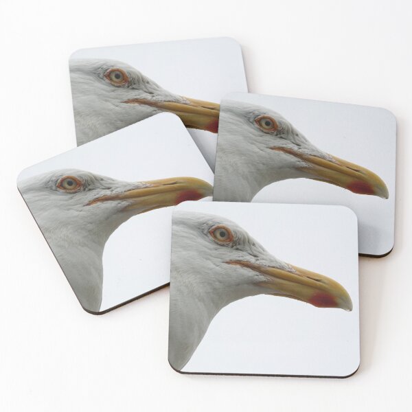Item preview, European herring gull designed and sold by Calidris Fotografie Steffi & Ben Köppler.