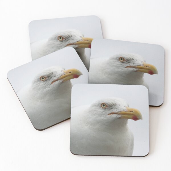 Item preview, European herring gull designed and sold by Calidris Fotografie Steffi & Ben Köppler.