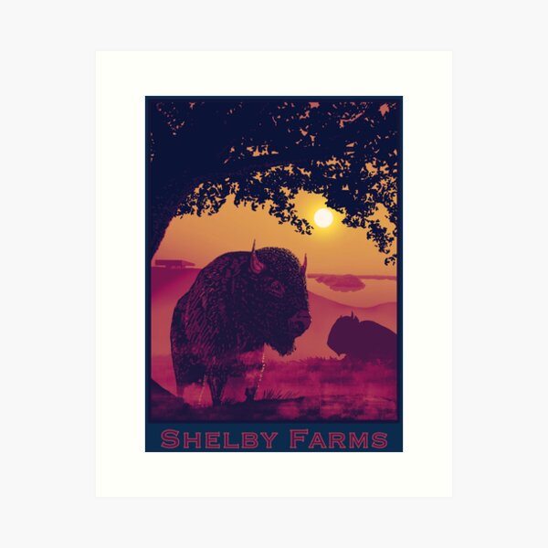Item preview, Shelby Farms Memphis Tennessee by BNVDO, Memphis gift idea designed and sold by MoscaMosca.