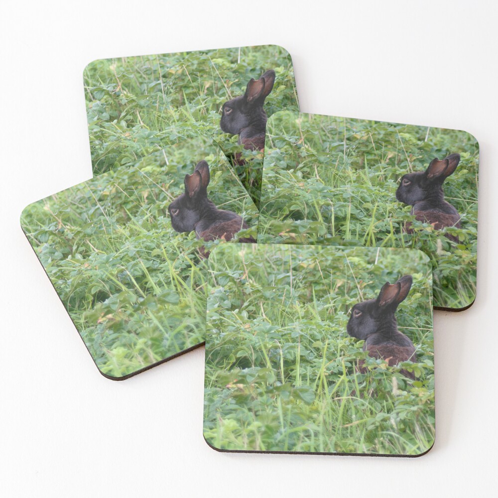 Item preview, Coasters (Set of 4) designed and sold by steffik.