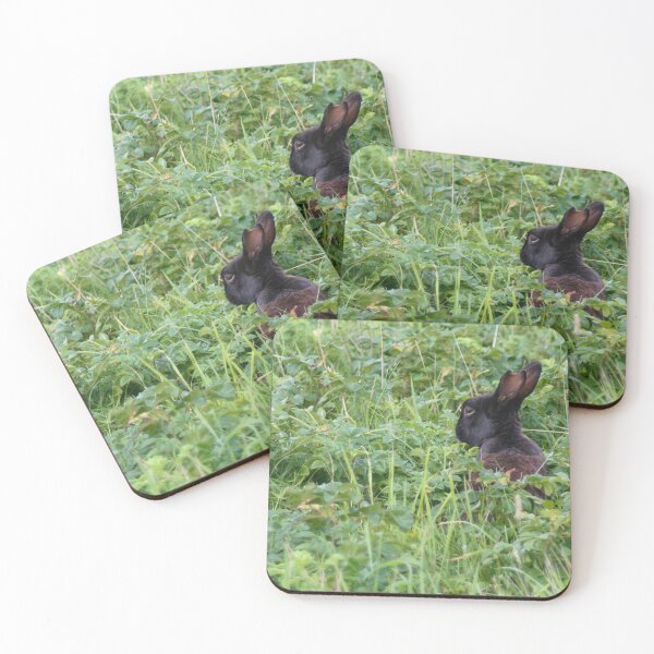 Item preview, Rabbit designed and sold by Calidris Fotografie Steffi & Ben Köppler.