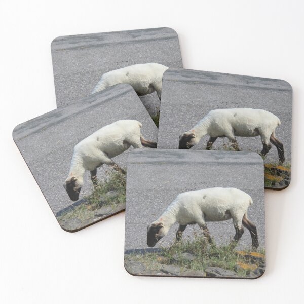 Item preview, Sheep designed and sold by Calidris Fotografie Steffi & Ben Köppler.