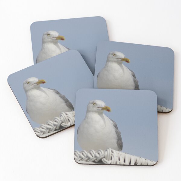 Item preview, European herring gull designed and sold by Calidris Fotografie Steffi & Ben Köppler.