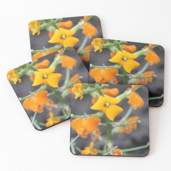 Item preview, Wallflower designed and sold by Calidris Fotografie Steffi & Ben Köppler.