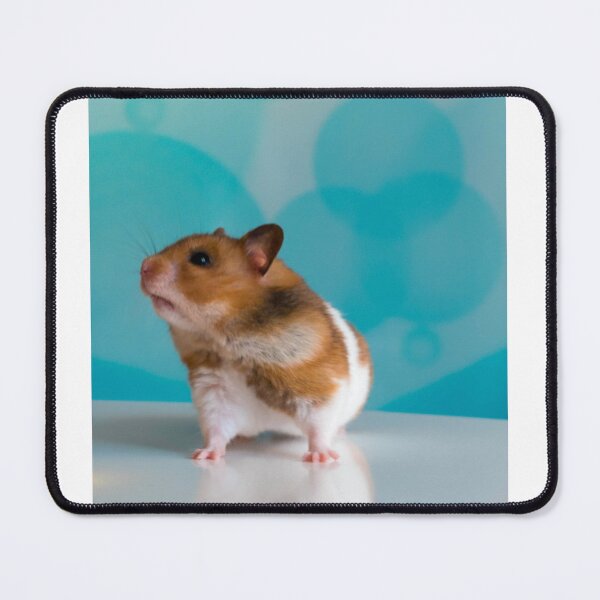 Item preview, bath time designed and sold by Pet Style.