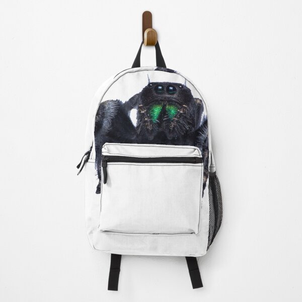 Item preview, Bold Jumping Spider designed and sold by Inverts-n-More.