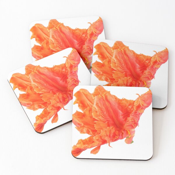 Item preview, Tulipa  'Monarch Parrot'  Tulip  Parrot Group  designed and sold by Chris Burrows.