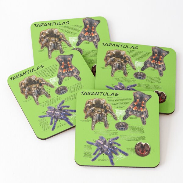 Item preview, Tarantula fact sheet (black text) designed and sold by Ren Andrews.