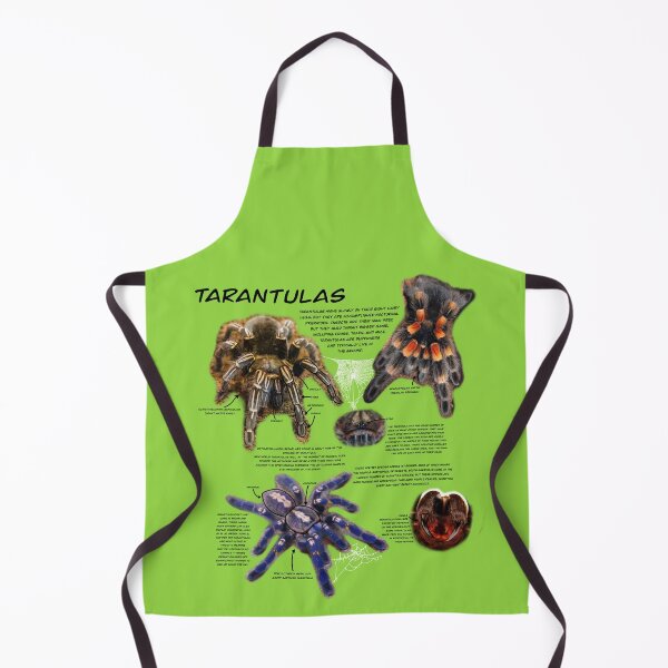Item preview, Tarantula fact sheet (black text) designed and sold by Ren Andrews.