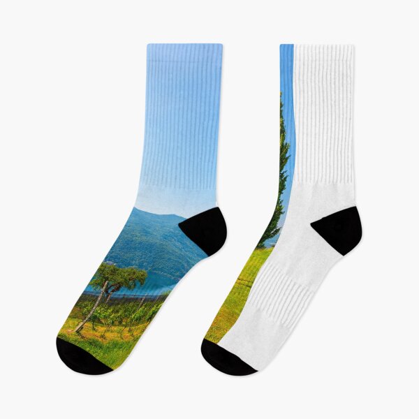 Item preview, Vineyard with Mountain View and Cypress Tree and Lake Lugano designed and sold by Mats Silvan.
