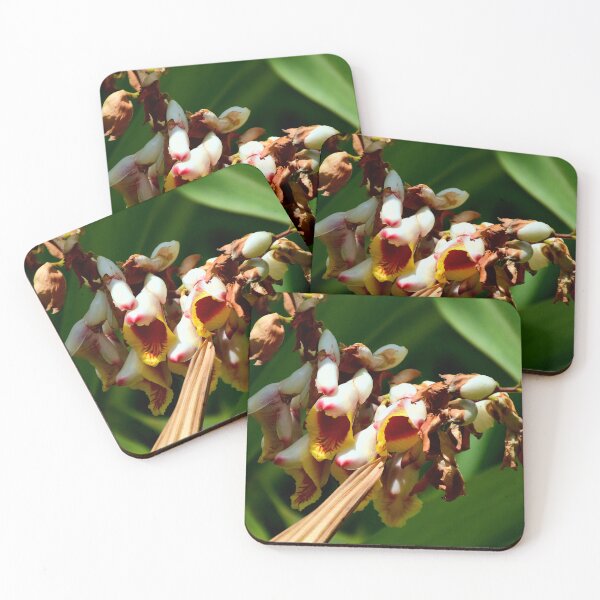 Item preview, Ginger In Bloom designed and sold by MercerImages.