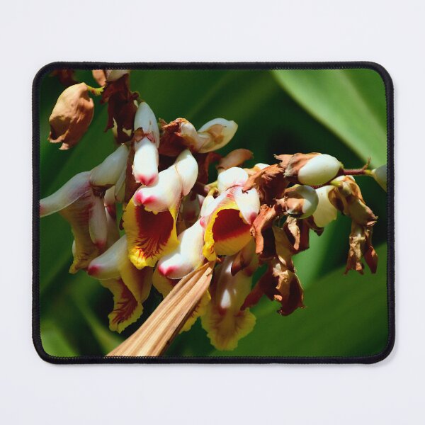 Item preview, Ginger In Bloom designed and sold by MercerImages.