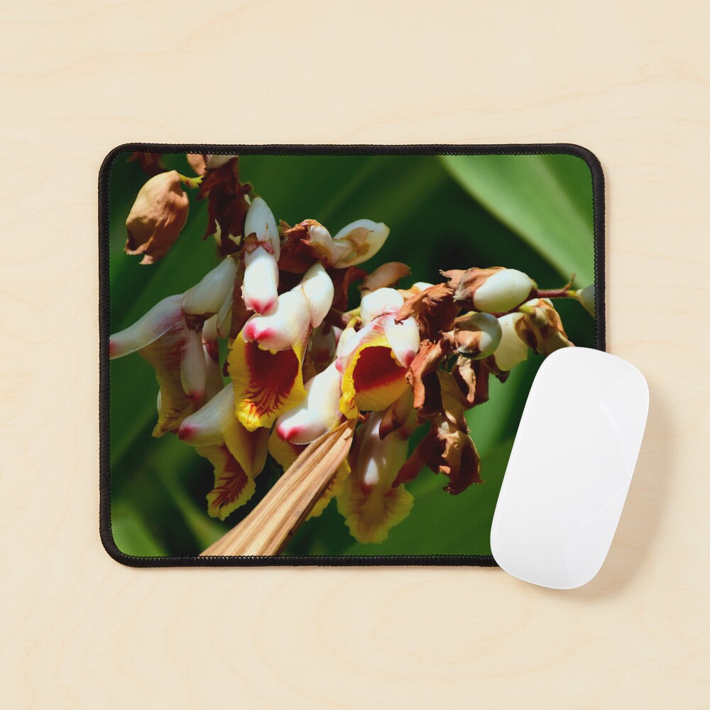 Item preview, Mouse Pad designed and sold by MercerImages.