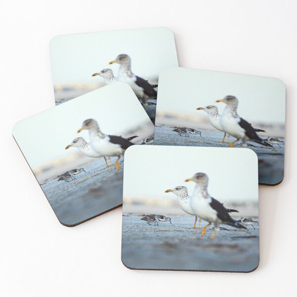 Item preview, Lesser Black-backed Gulls designed and sold by adventuresswfl.