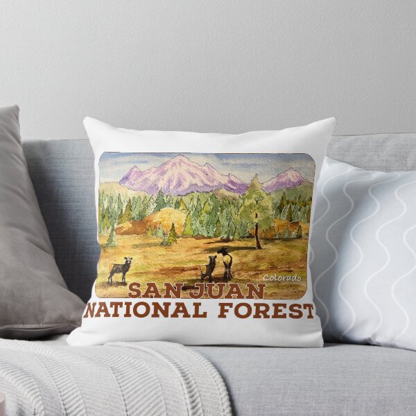 Item preview, San Juan National Forest, Colorado designed and sold by MMc Buck.