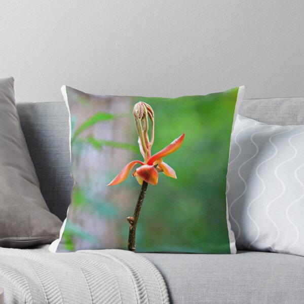 Item preview, Unusual Beauty designed and sold by Dana Yoachum.