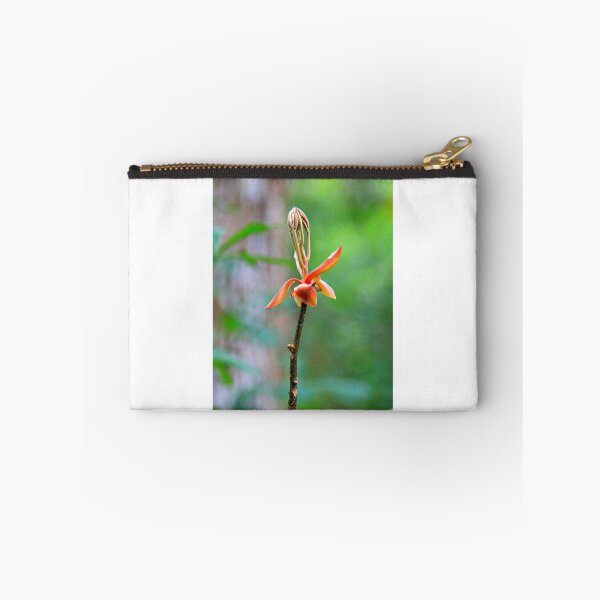 Item preview, Unusual Beauty designed and sold by Dana Yoachum.