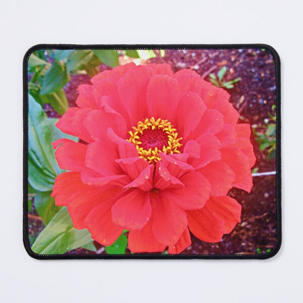 Item preview, Beautiful red flower designed and sold by Shulie1.