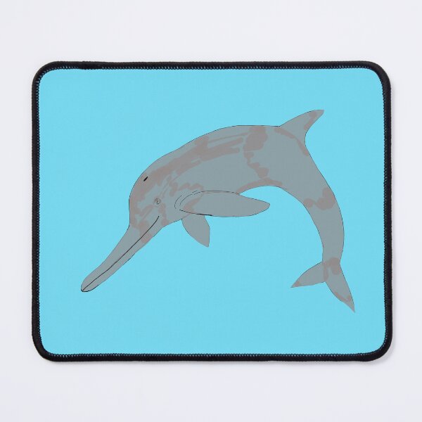 Item preview, Chinese River Dolphin designed and sold by FossilRecordGNS.