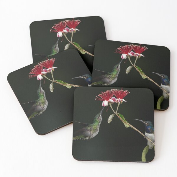 Item preview, Par de jacobinos de cuello blanco designed and sold by acwb.