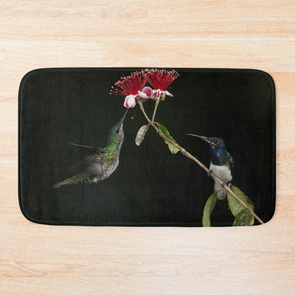 Item preview, Pair of White necked Jacobins designed and sold by acwb.