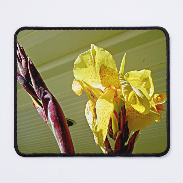 Item preview, Calla Lily designed and sold by Shulie1.