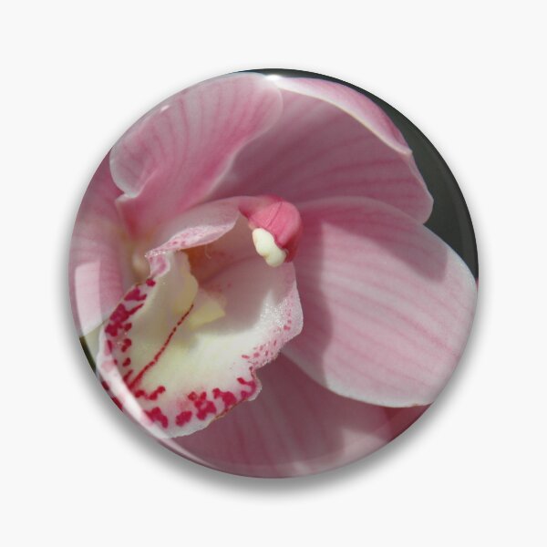 Item preview, pale pink cymbidium designed and sold by okomedesign.