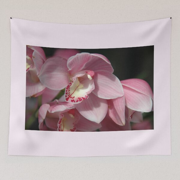 Item preview, pale pink cymbidium designed and sold by okomedesign.