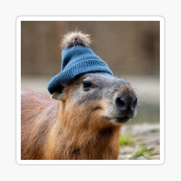 Item preview, Woolen Capybara designed and sold by DistincTee.