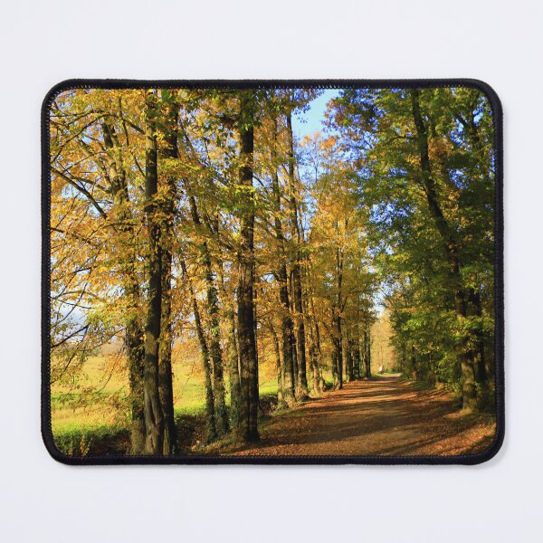 Item preview, Walking in autumn designed and sold by annalisa56.