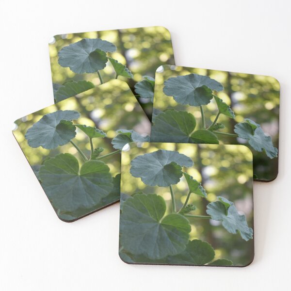 Item preview, Pelargonium in soft green tones with sunspots designed and sold by mariya-ivanova.
