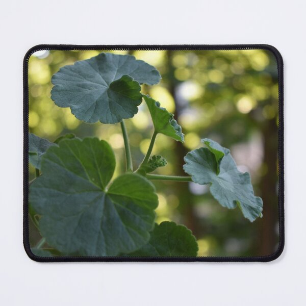 Item preview, Pelargonium in soft green tones with sunspots designed and sold by mariya-ivanova.