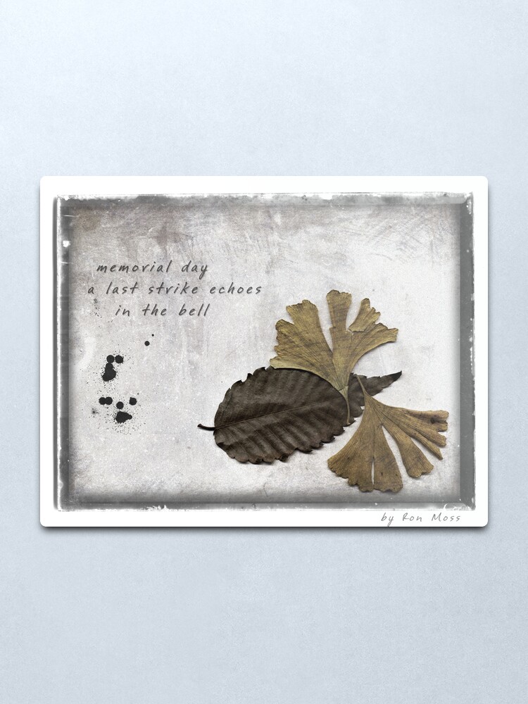 Alternate view of Echoes Metal Print