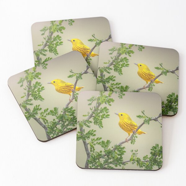 Item preview, Perched Yellow Warbler South Texas designed and sold by PhotoArt by Joan Carroll.