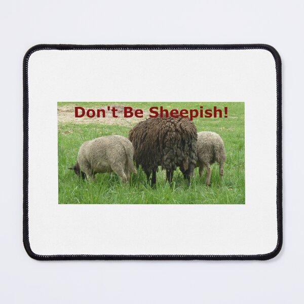 Item preview, The Backsides of 3 Sheep: Don't Be Sheepish! designed and sold by Judy Geller.