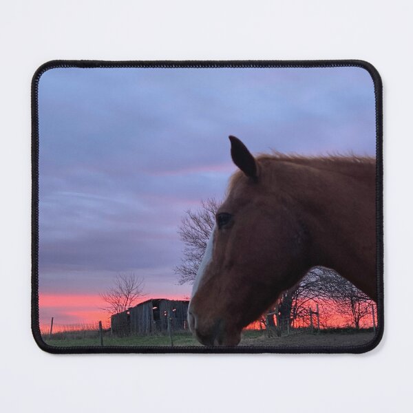 Item preview, The love of Sunsets and Equine designed and sold by CASequine.
