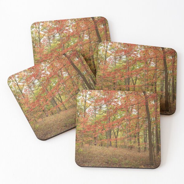 Item preview, Fall Trees in the woods designed and sold by CindyStrupp.