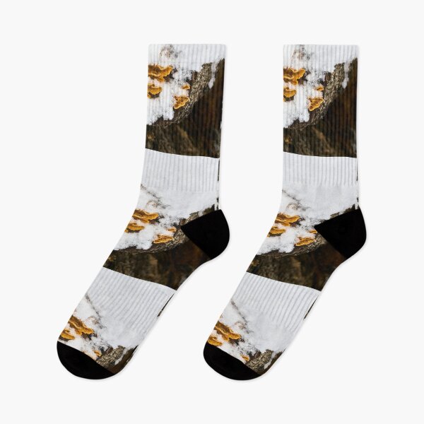 Item preview, Dwarfs. First snow views designed and sold by Jouko Lehto Photography.