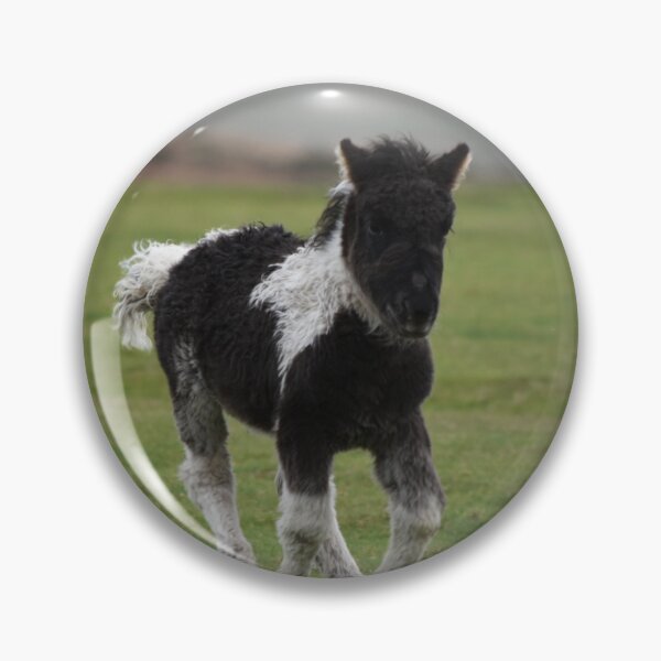 Item preview, Foal in Dartmouth designed and sold by Abs890.