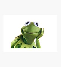 Kermit Photographic Print
