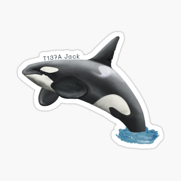 Item preview, T137A "Jack" Killer Whale designed and sold by Emma Luck.