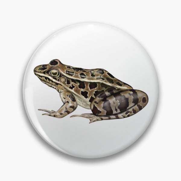 Item preview, Leopard Frog Brown designed and sold by Kyle Fleming.