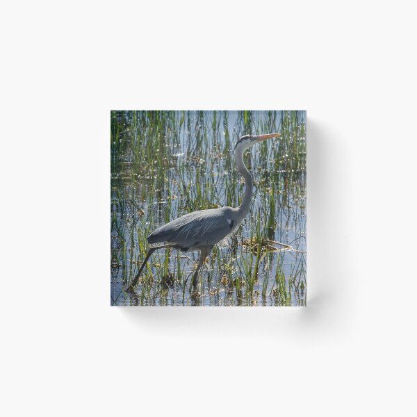 Item preview, Great Blue Heron Bird Closeup designed and sold by ValeriesGallery.
