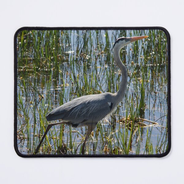 Item preview, Great Blue Heron Bird Closeup designed and sold by ValeriesGallery.