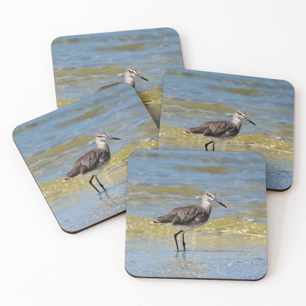 Item preview, Willet designed and sold by adventuresswfl.