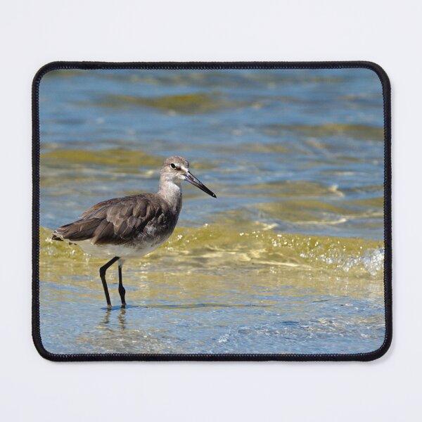 Item preview, Willet designed and sold by adventuresswfl.